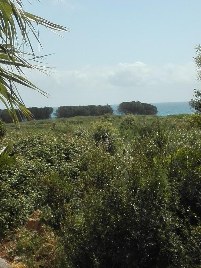 Les Jardins De La Mer Marine De Bravone - 2 Chambres A Lit Plus Sofa Avec Piscine A Cote Mer Linguizzetta エクステリア 写真