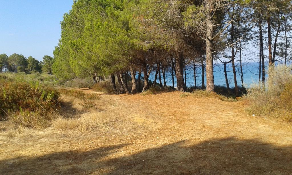 Les Jardins De La Mer Marine De Bravone - 2 Chambres A Lit Plus Sofa Avec Piscine A Cote Mer Linguizzetta エクステリア 写真