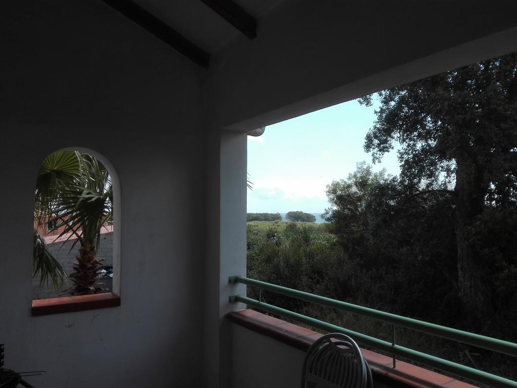 Les Jardins De La Mer Marine De Bravone - 2 Chambres A Lit Plus Sofa Avec Piscine A Cote Mer Linguizzetta エクステリア 写真